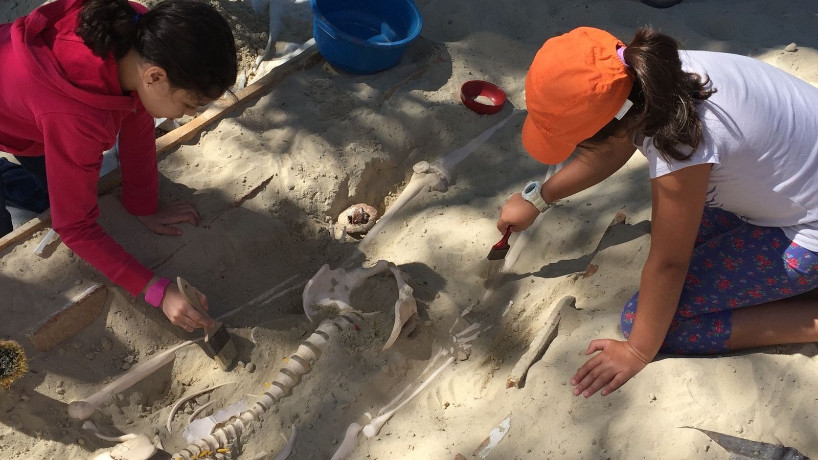 Pequeños arqueólogos, vamos a excavar | AuLA OLMEDA