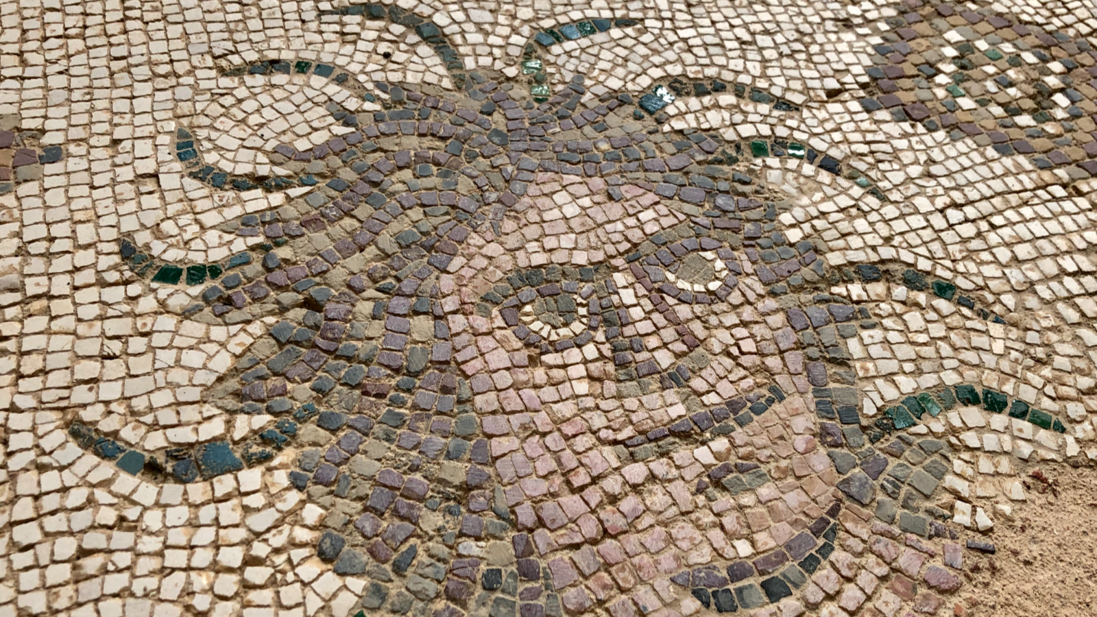 Detalle del Mosaico de Neptuno y Anfítrite