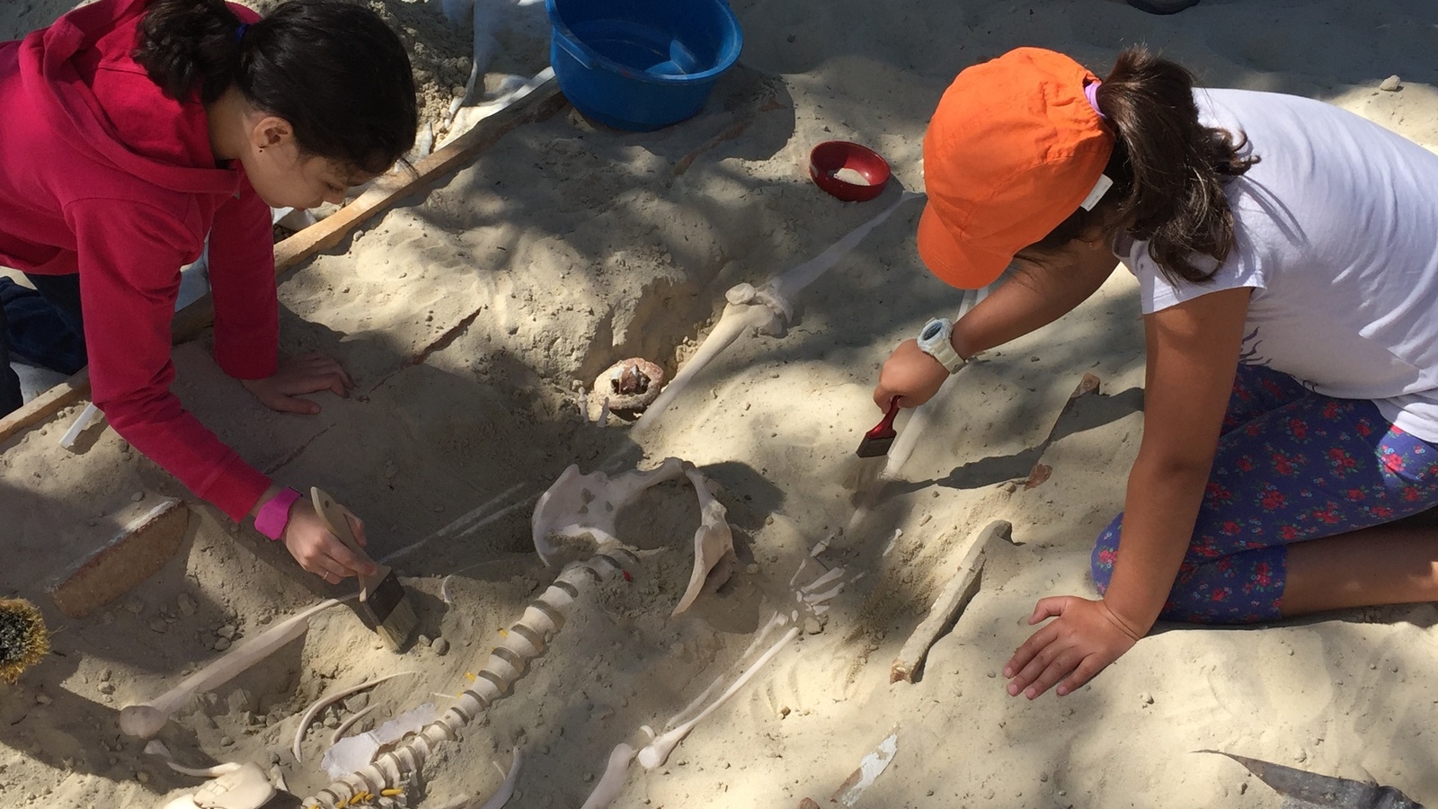 taller de pequeños arqueólogos de la villa romana la olmeda