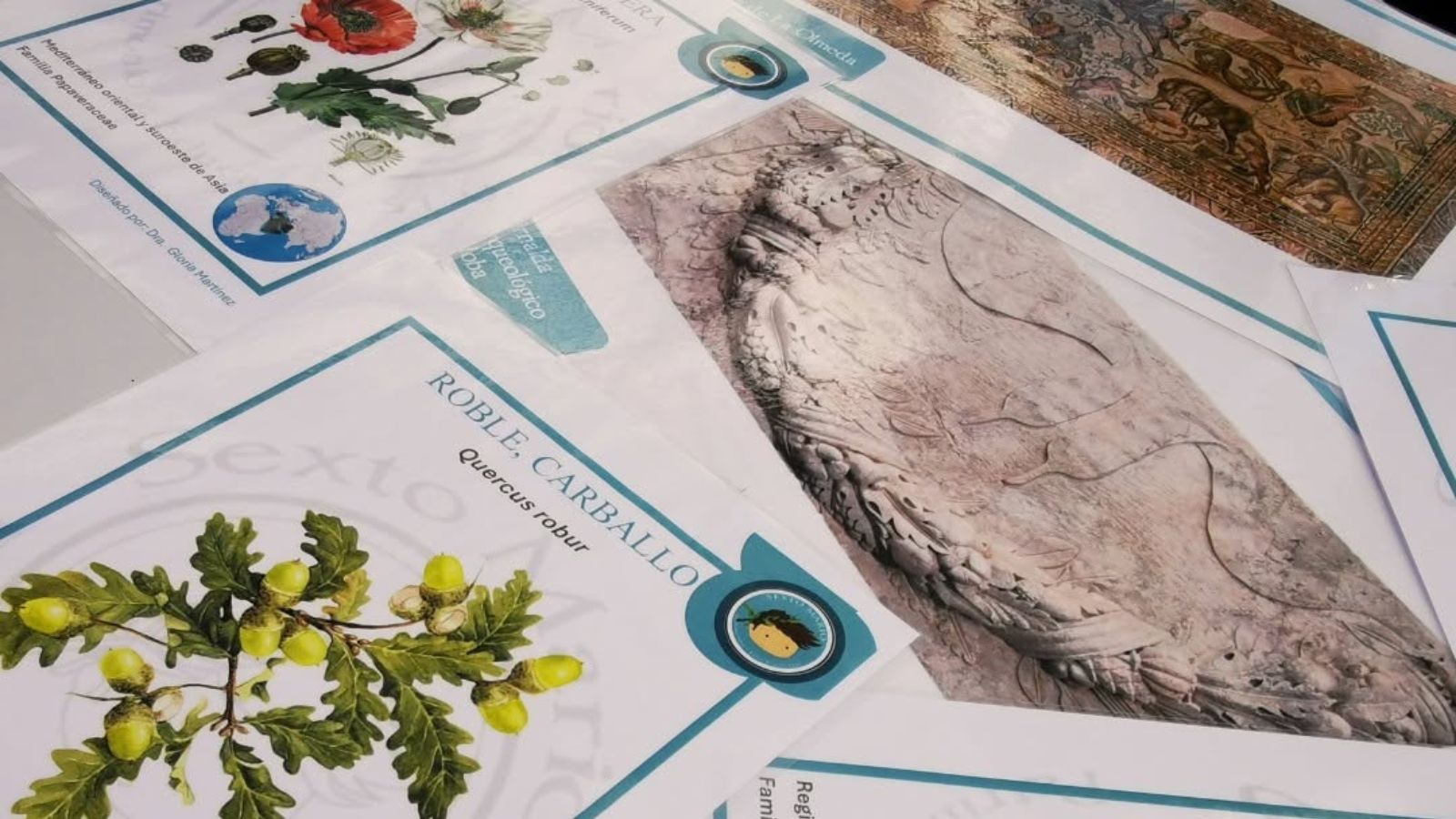 La historia romana es protagonista en la provincia de Palencia este verano, en La Olmeda y Saldaña.