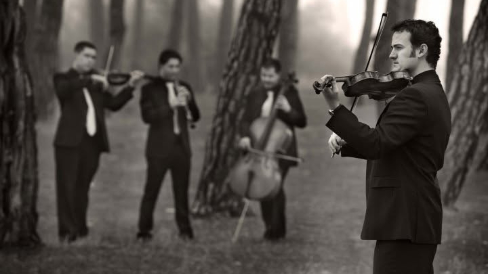 La Olmeda se convierte en el epicentro cultural del verano con música, gastronomía e historia viva.