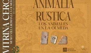 El Museo de La Olmeda en Saldaña inaugura la exposición temporal «Animalia Rustica» en una nueva Vitrina Cero.
