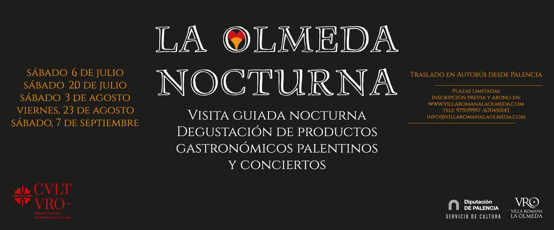 LA OLMEDA NOCTURNA | VISITA GUIADA, CONCIERTO Y DEGUSTACIÓN