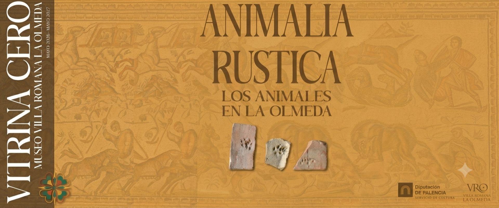 Exposición Vitrina Cero | 'Animalia Rustica', de mayo de 2026 a abril de 2027 en el Museo de la Villa Romana La Olmeda.