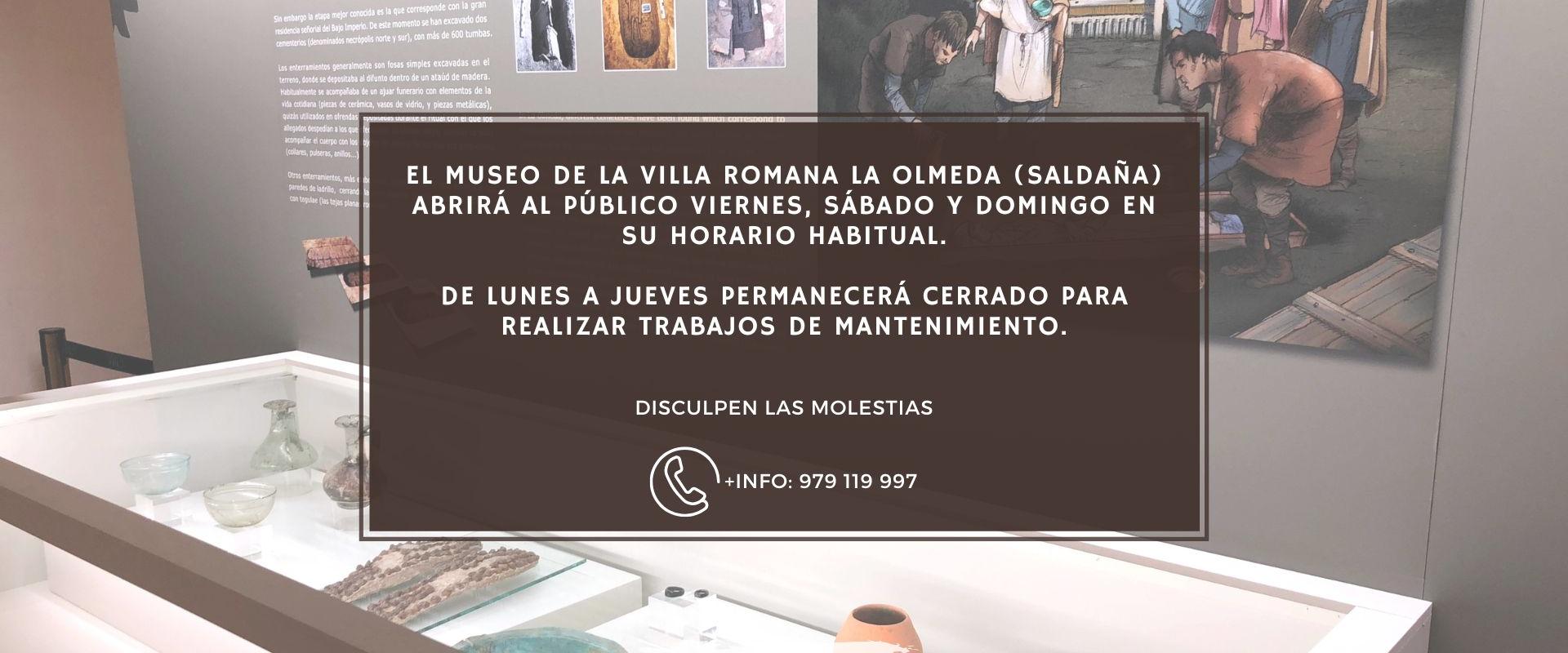 El Museo de la Villa Romana La Olmeda en Saldaña permanecerá cerrado para la visita de lunes a jueves.