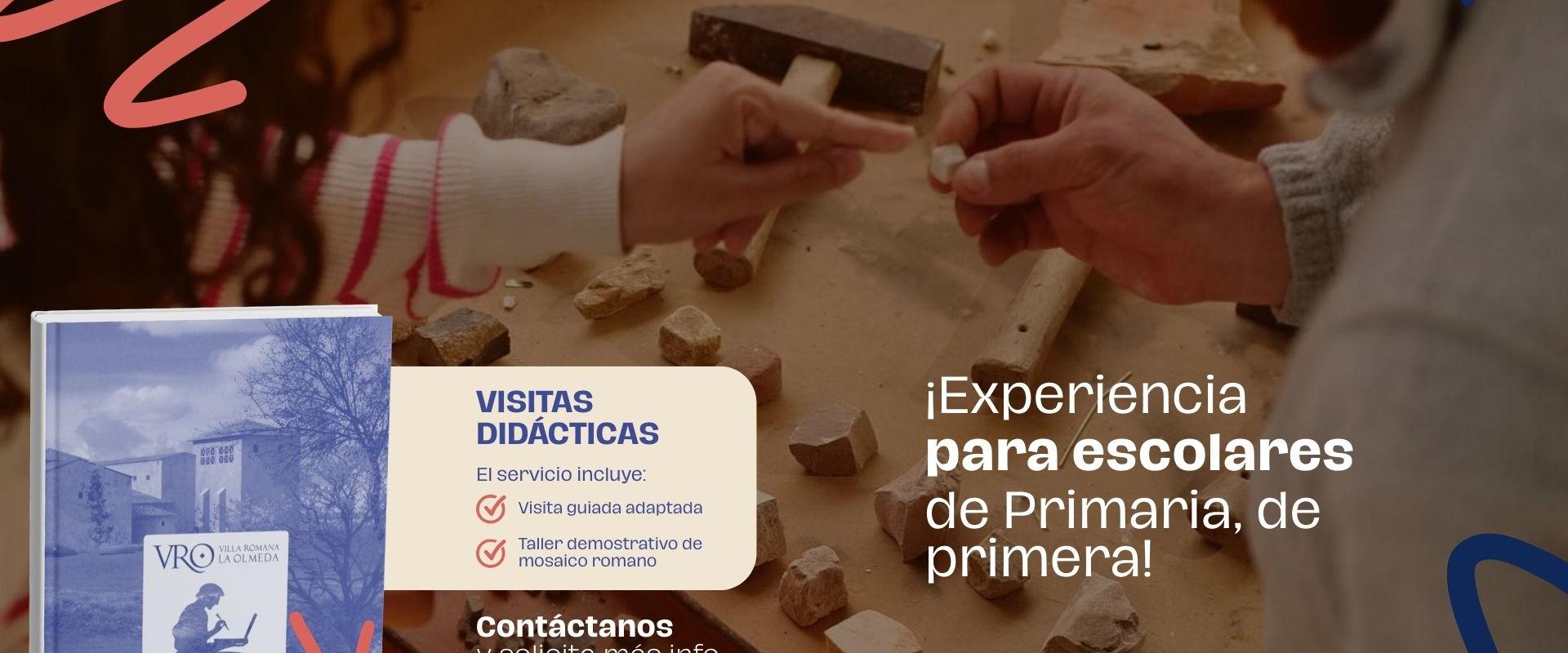 Diputación de Palencia reanuda en la villa romana la olmeda las visitas con taller de mosaico para alumnos de Primaria