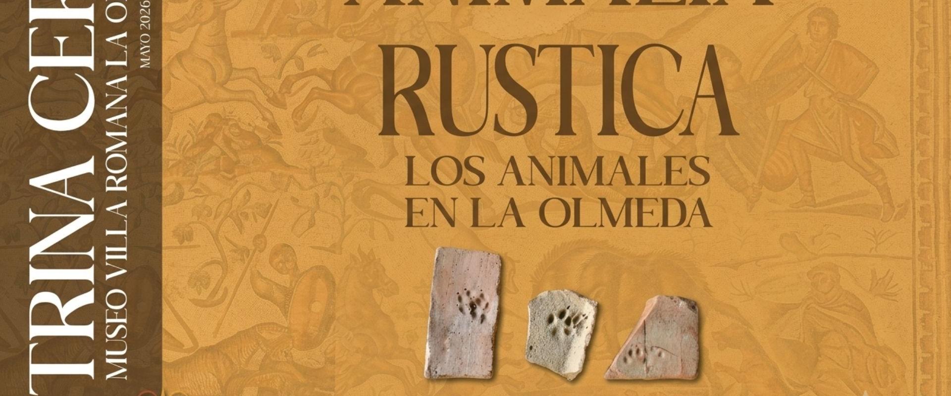 El Museo de La Olmeda en Saldaña inaugura la exposición temporal «Animalia Rustica» en una nueva Vitrina Cero.
