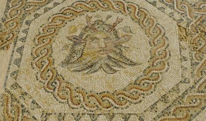 Mosaics Neptune 
