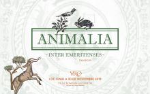 Expo animalia