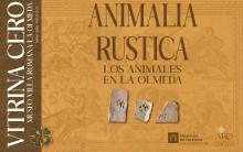 El Museo de La Olmeda en Saldaña inaugura la exposición temporal «Animalia Rustica» en una nueva Vitrina Cero.
